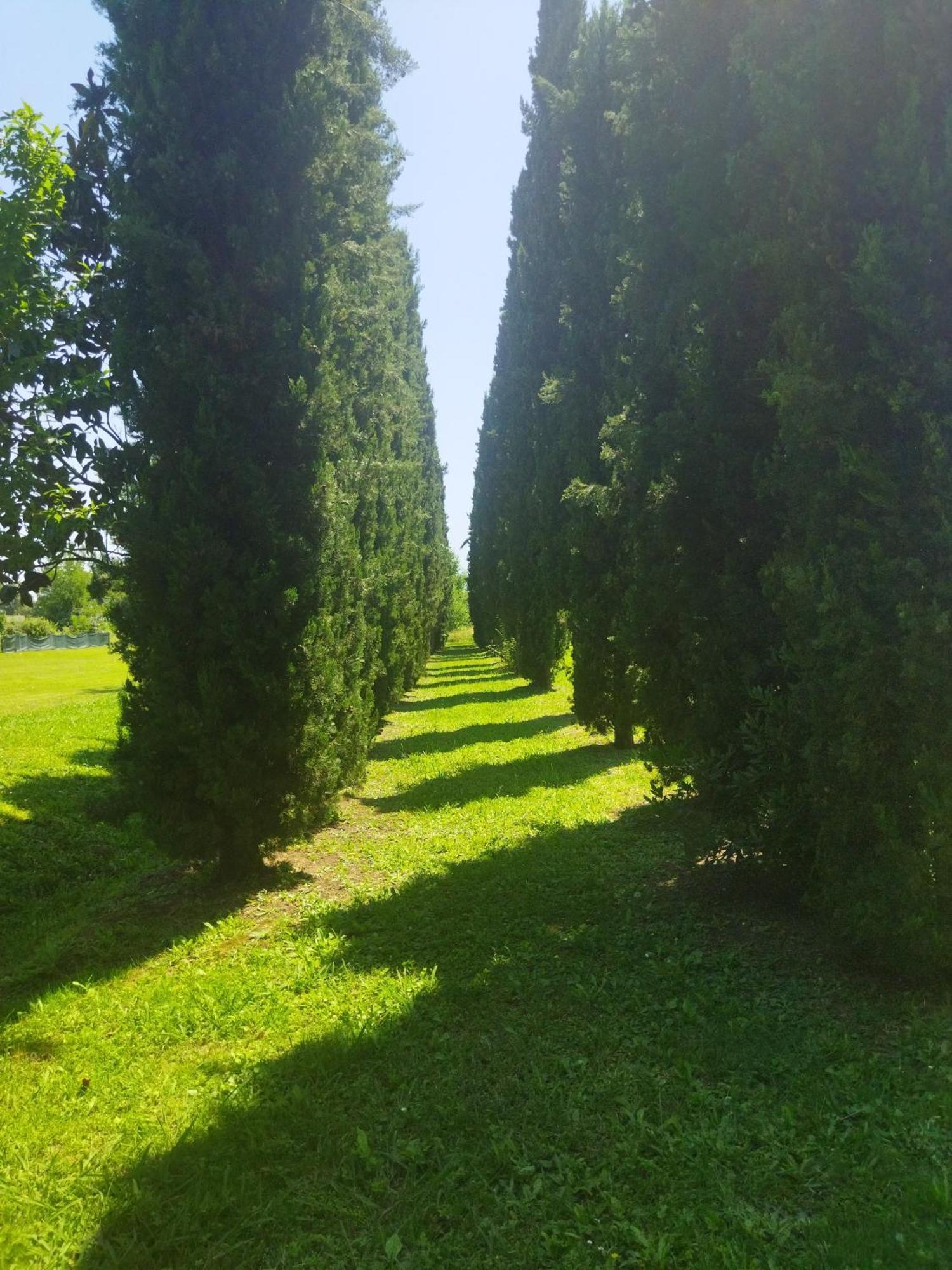 Villa Fontana Capannori Eksteriør bilde