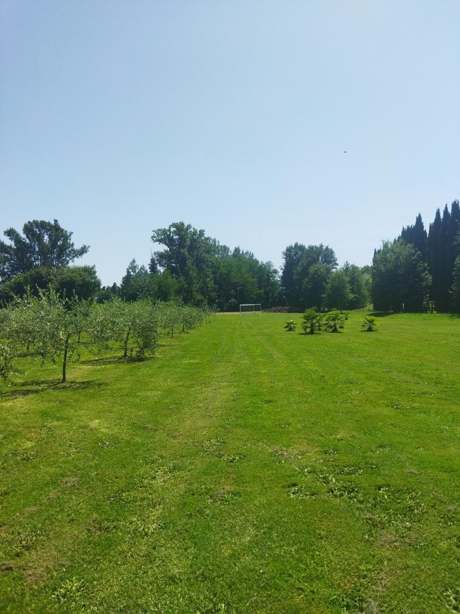 Villa Fontana Capannori Eksteriør bilde